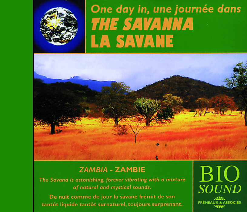 UNE JOURNEE DANS LA SAVANE (PIERRE HUGUET)