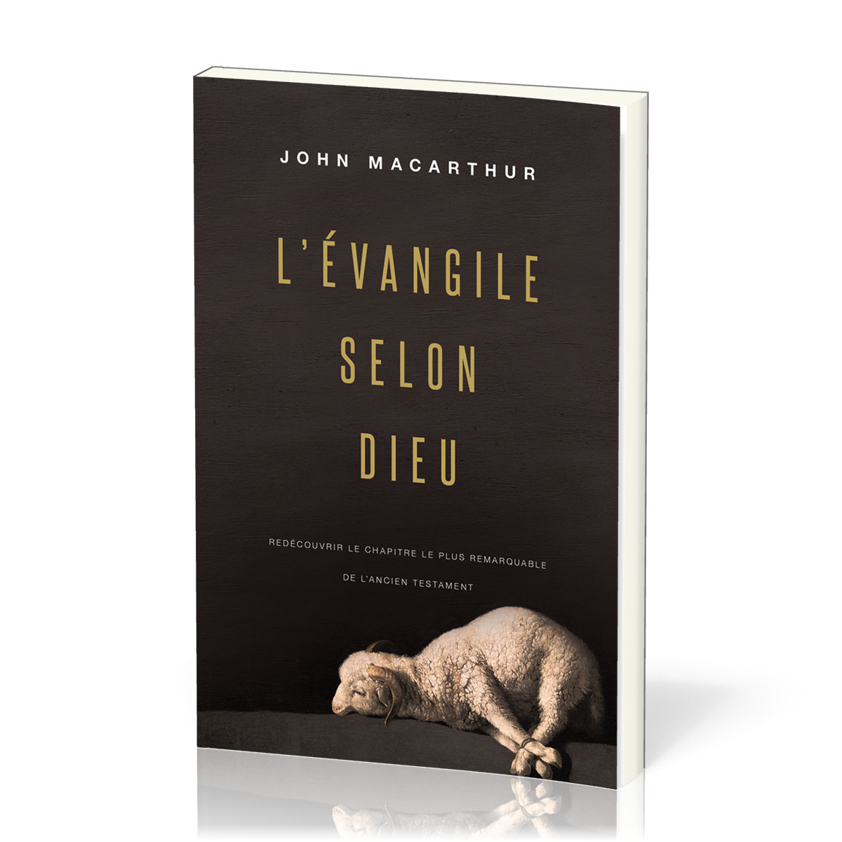 L’Évangile selon Dieu