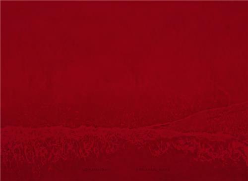 Eduardo Nave Normandie /anglais/espagnol