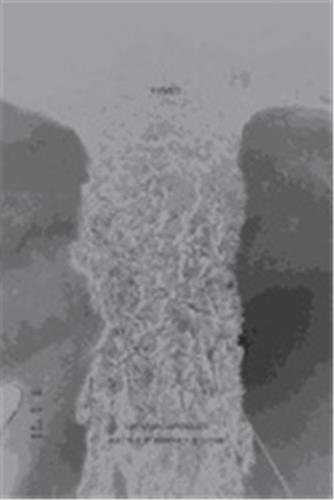 Ari Marcopoulos: Fumes /anglais