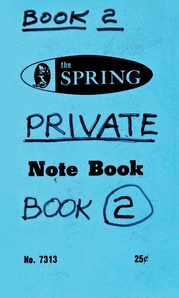 Lee Lozano: Private Book 2 /anglais