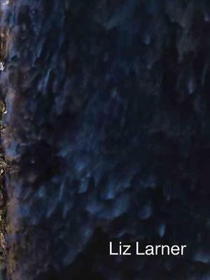 Liz Larner (Karma) /anglais