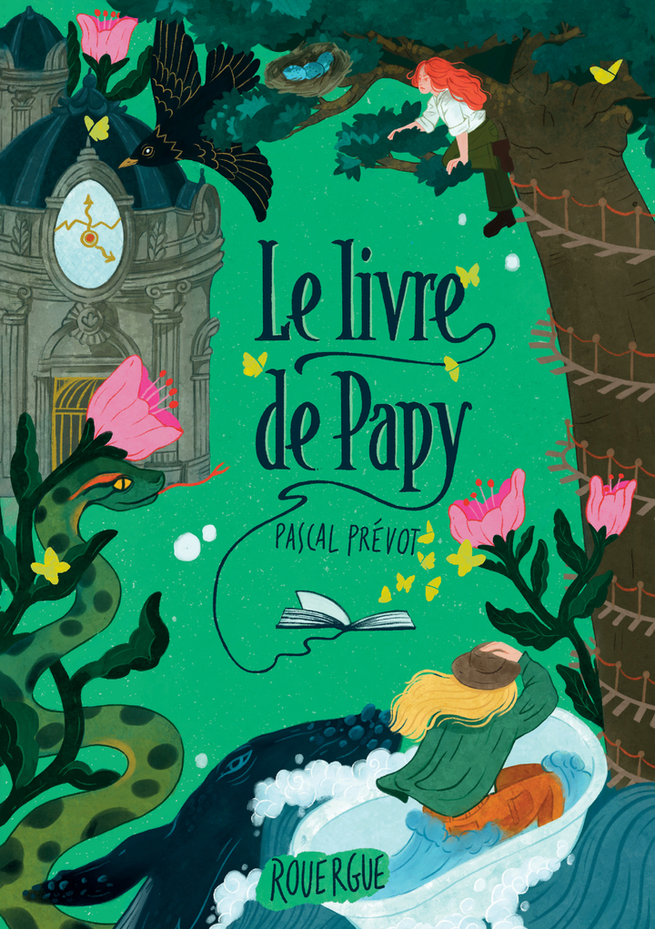 LE LIVRE DE PAPY