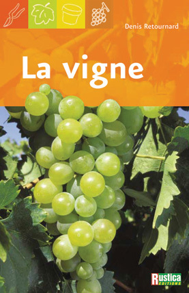 La vigne