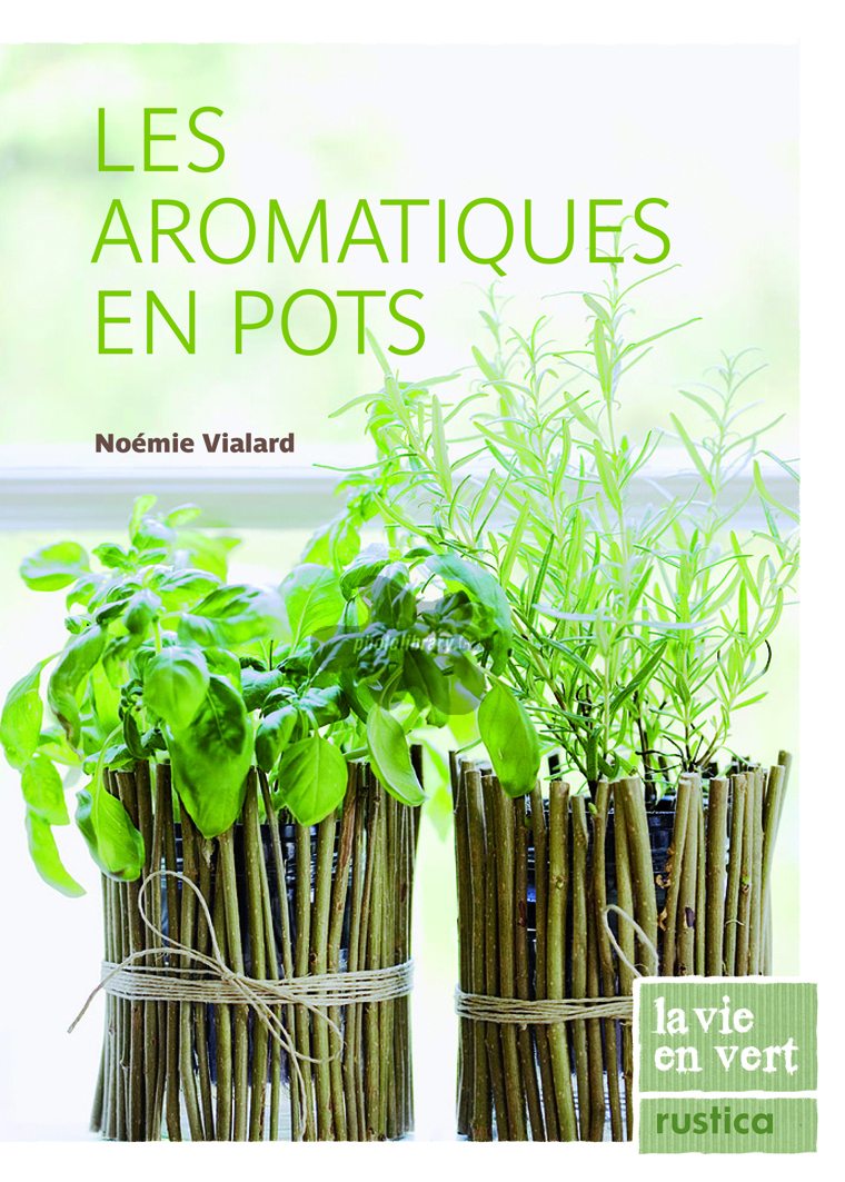 Les aromatiques en pots