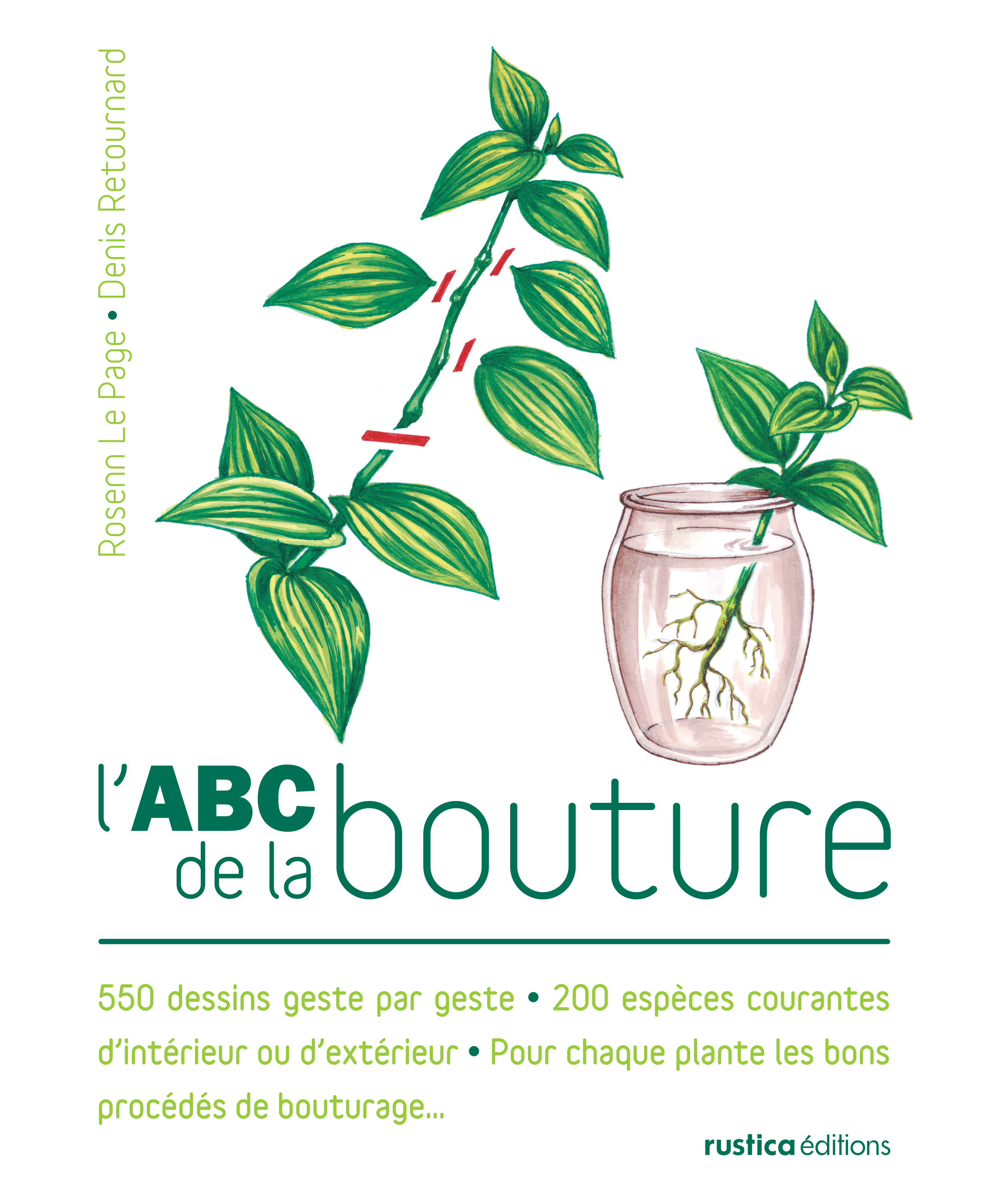 L'ABC de la bouture