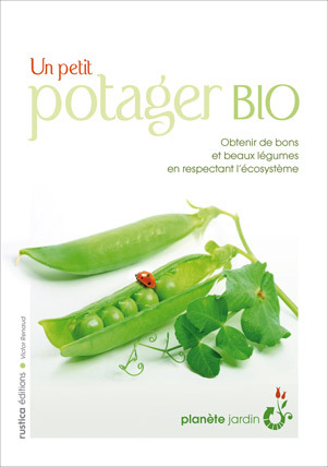 Un petit potager bio