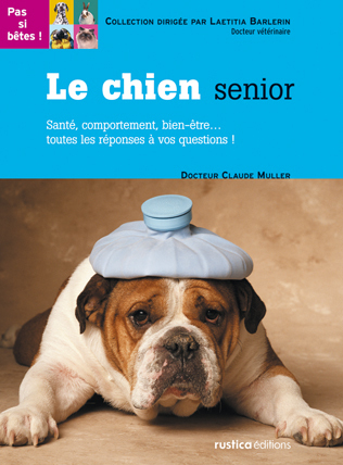 Le chien senior