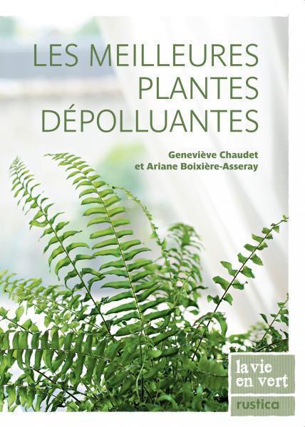 MEILLEURES PLANTES DEPOLLUANTES (LES)