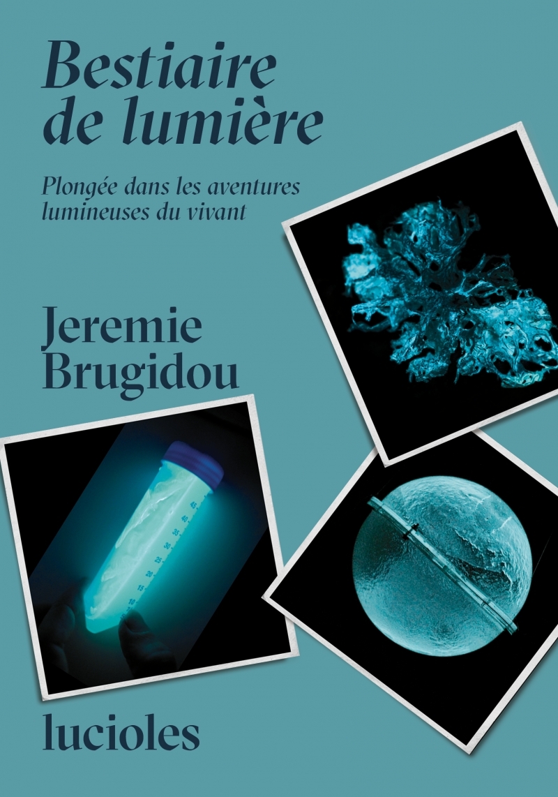 Bestiaire de Lumière - Plongée dans les aventures lumineuses