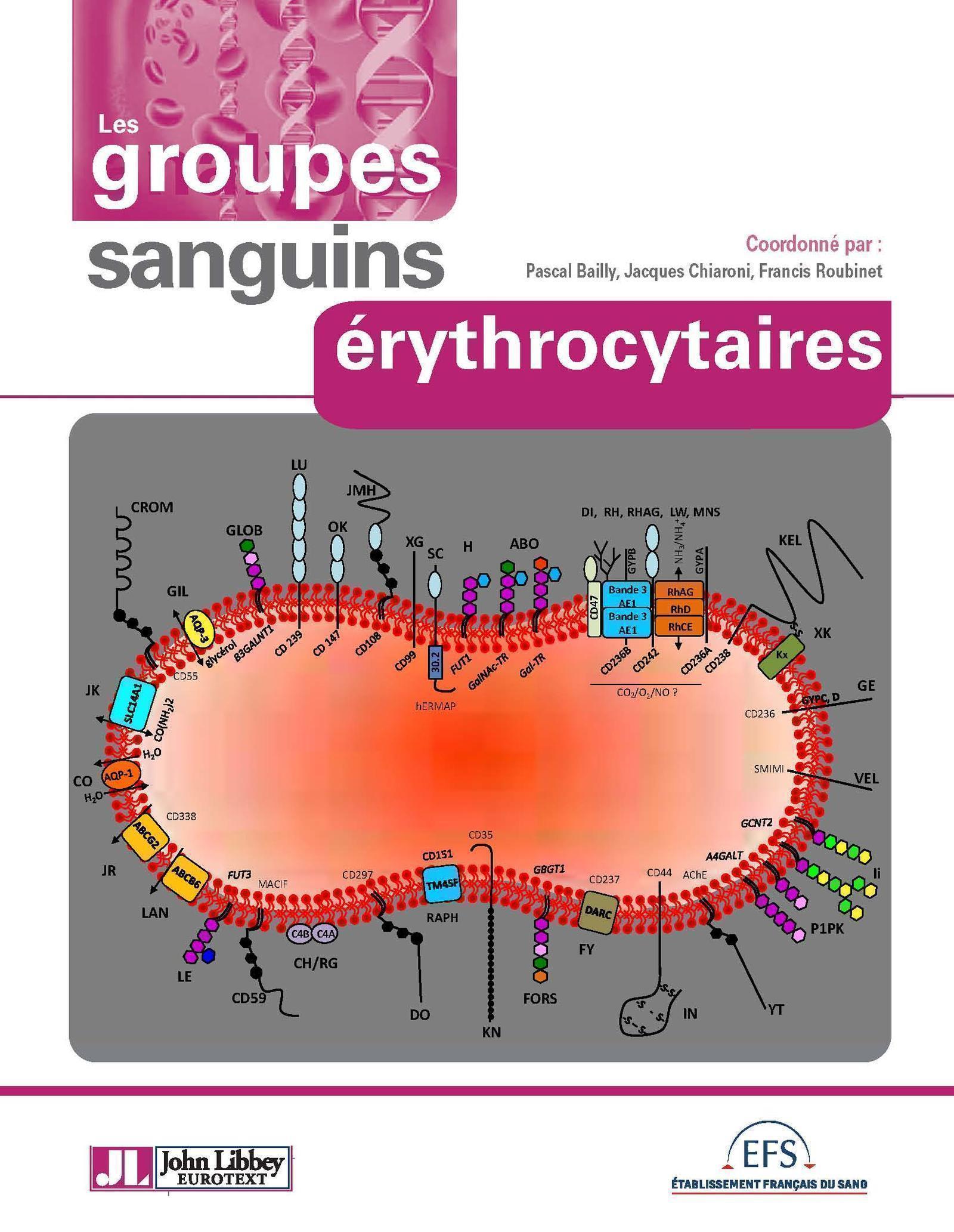 Les groupes sanguins érythrocytaires