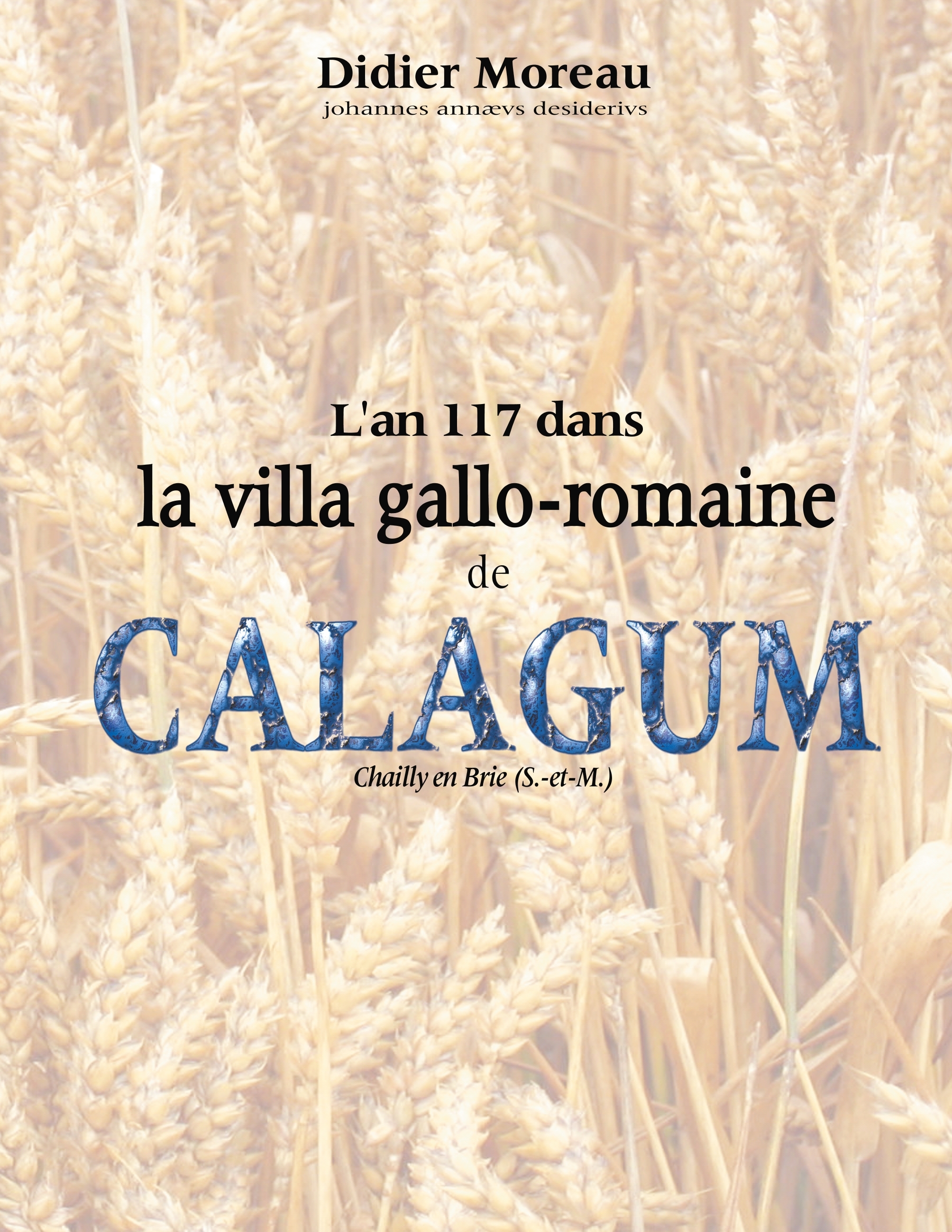 L'an 117 dans la villa gallo-romaine de Calagum
