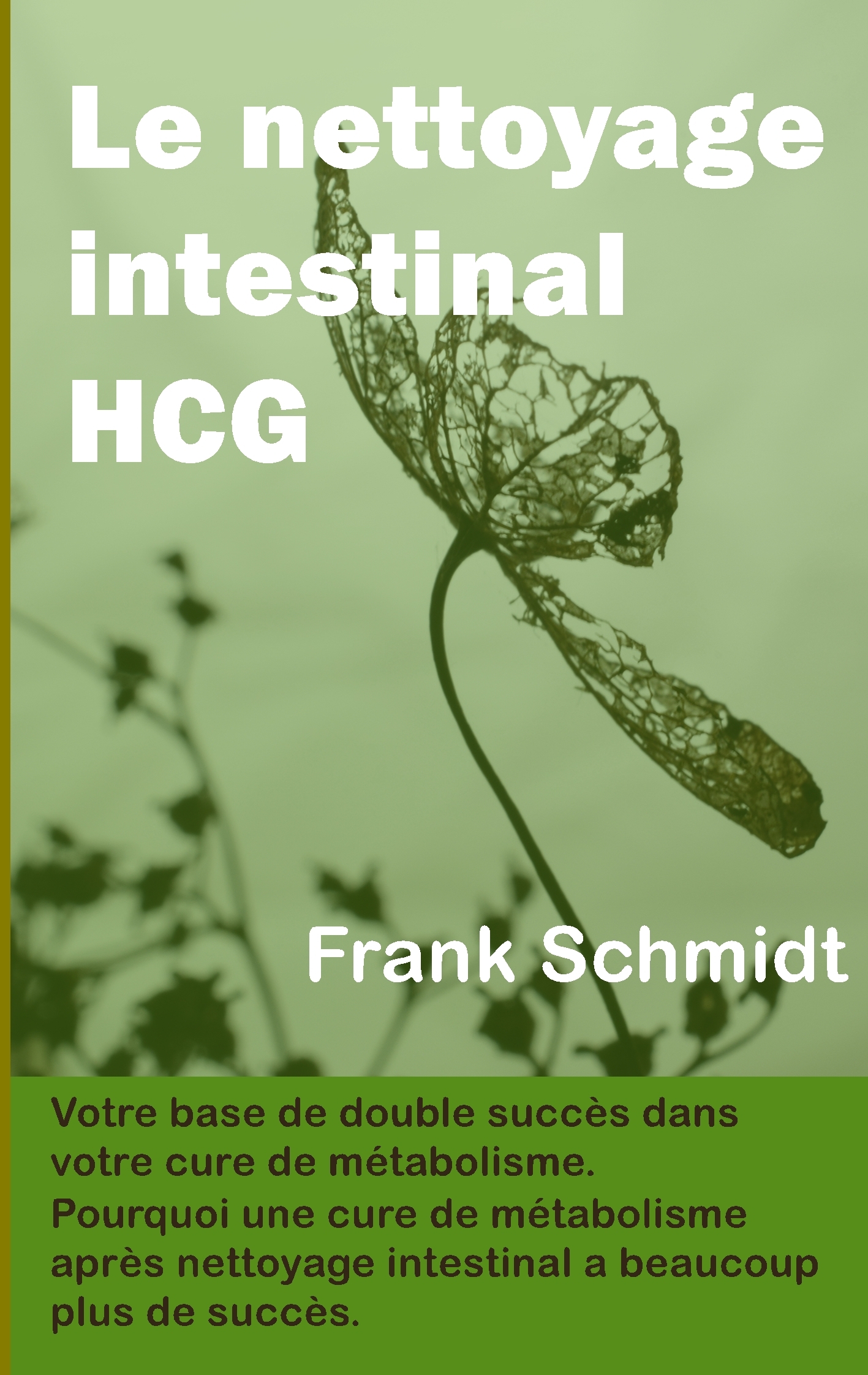 Le nettoyage intestinal HCG