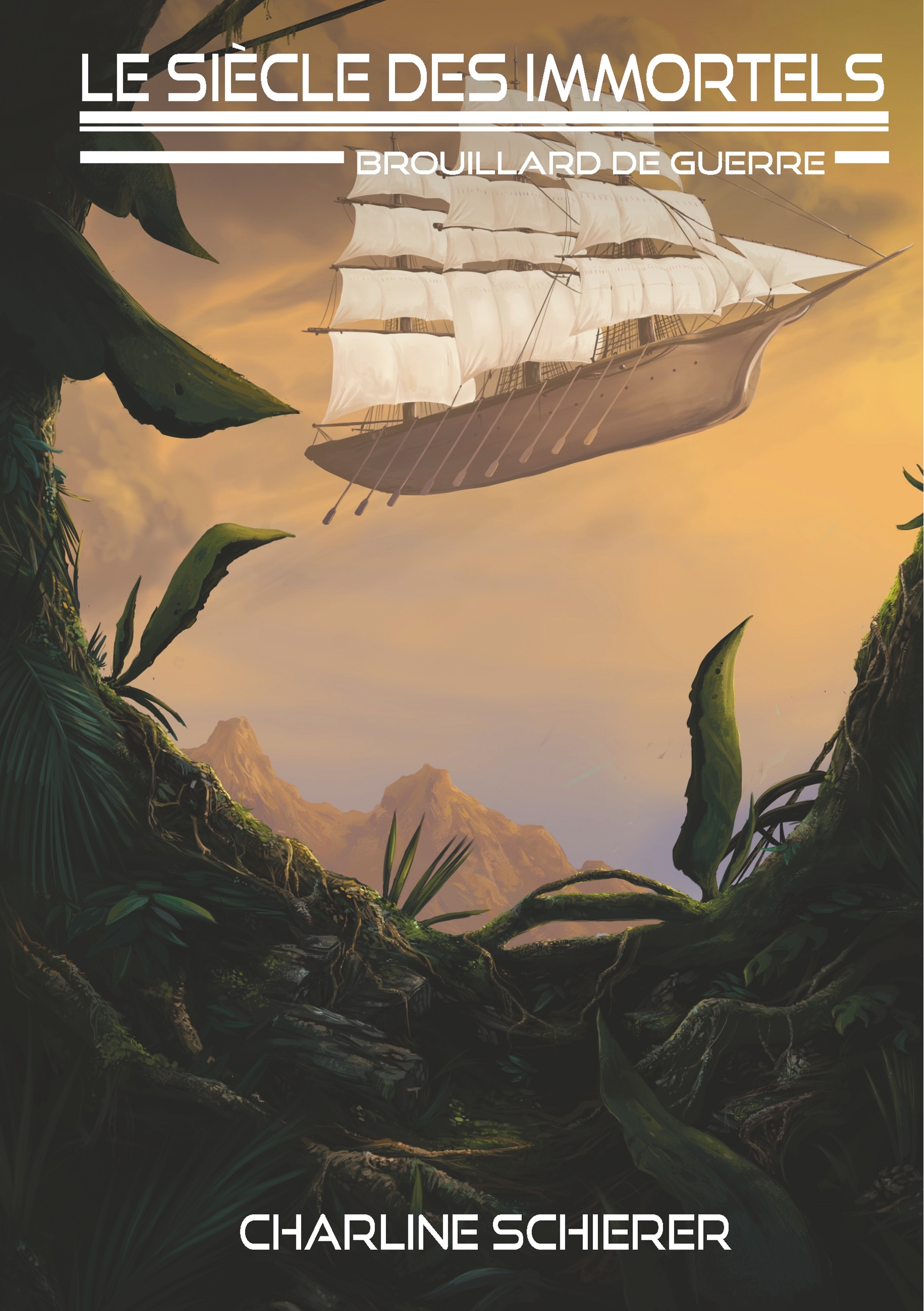 Brouillard de guerre