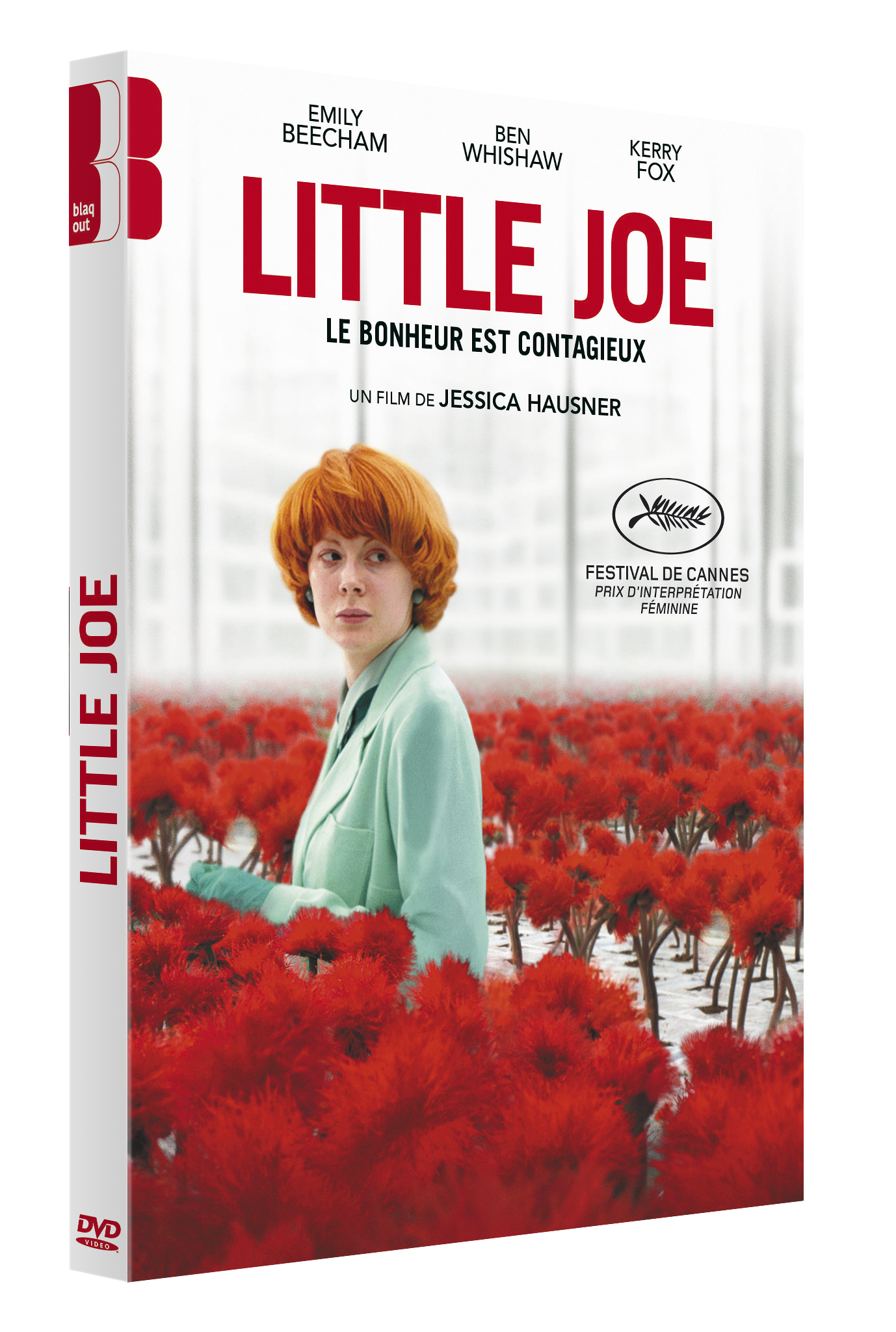 LITTLE JOE (VOST)