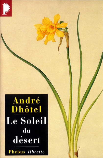 Le soleil du désert