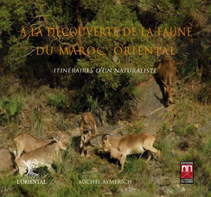 A LA DéCOUVERTE DE LA FAUNE DU