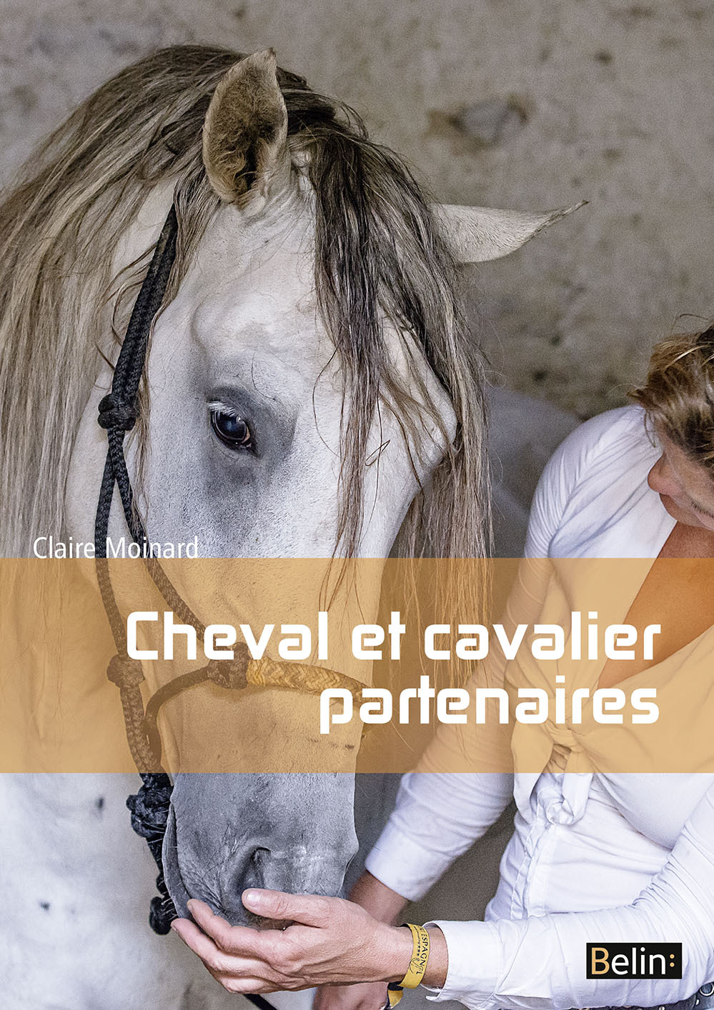 Cheval et cavalier partenaires