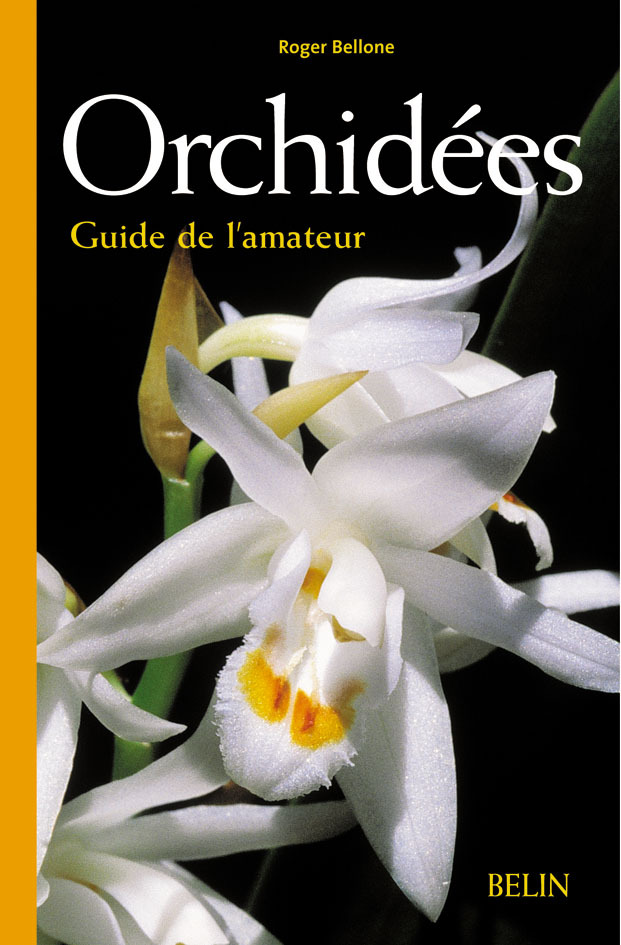 Orchidées