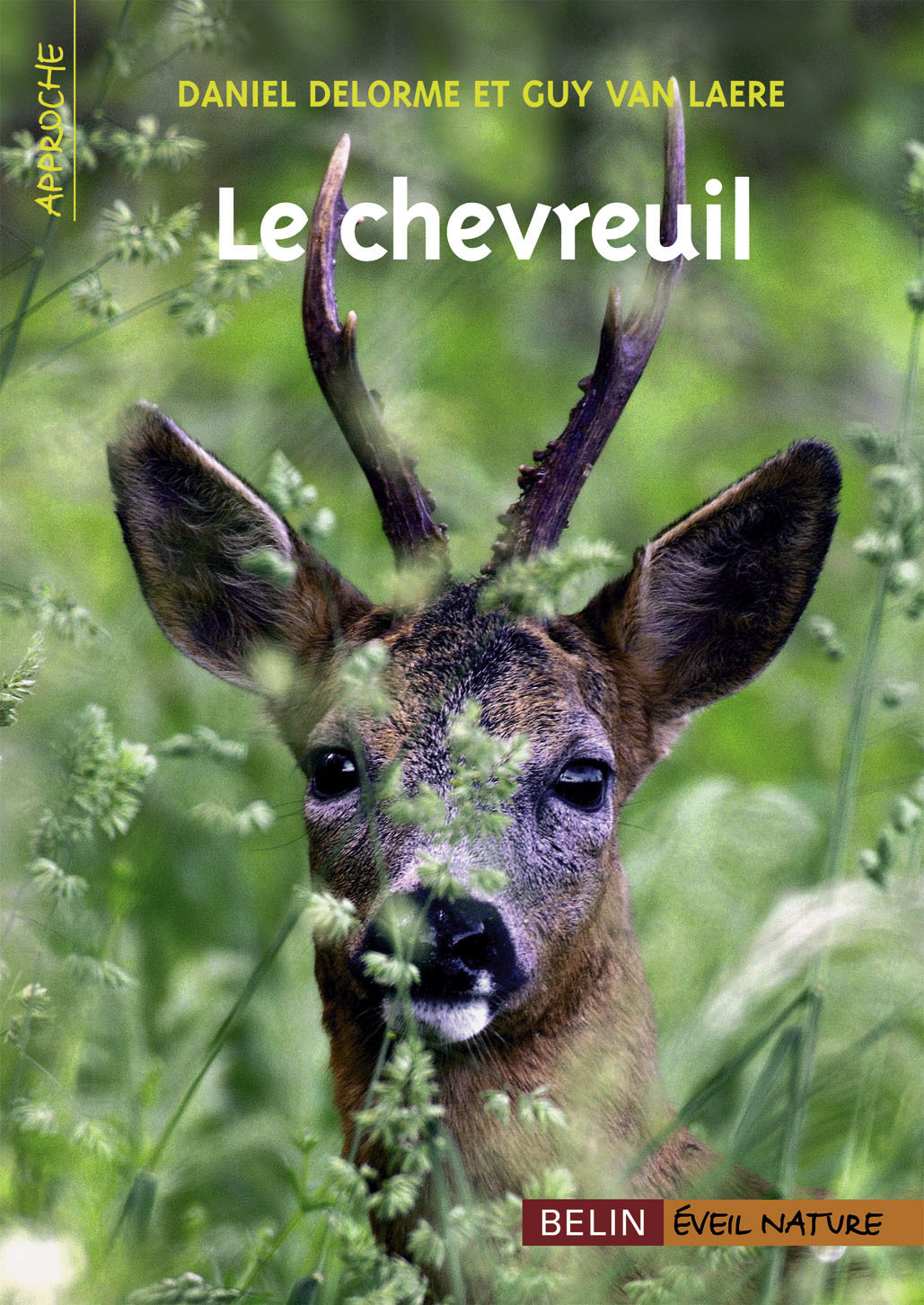 Le Chevreuil