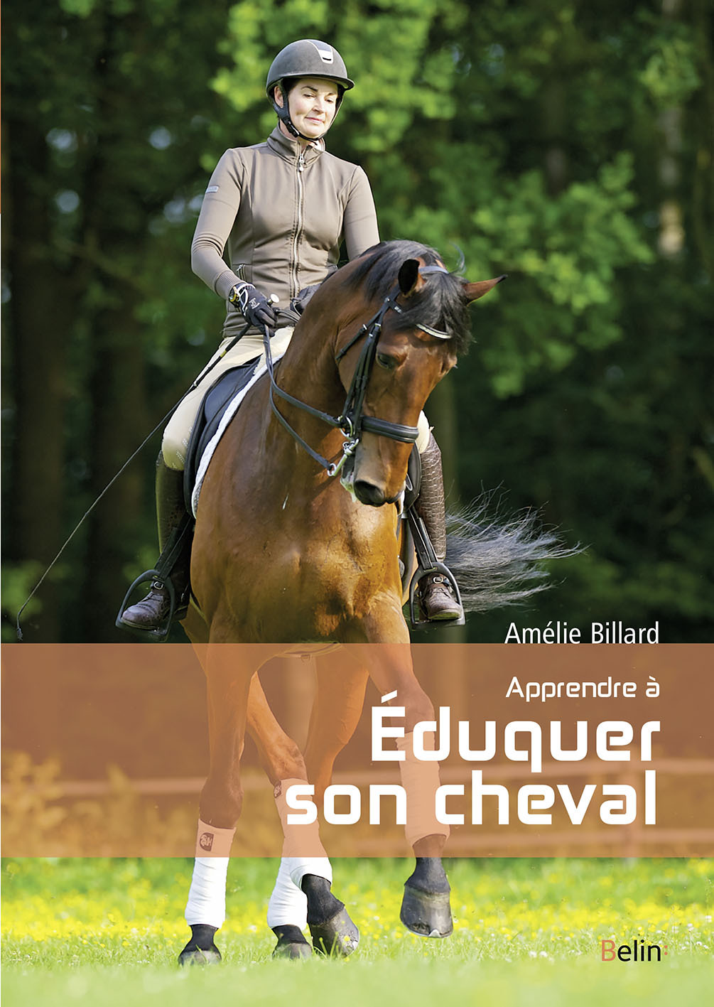 Apprendre à éduquer son cheval