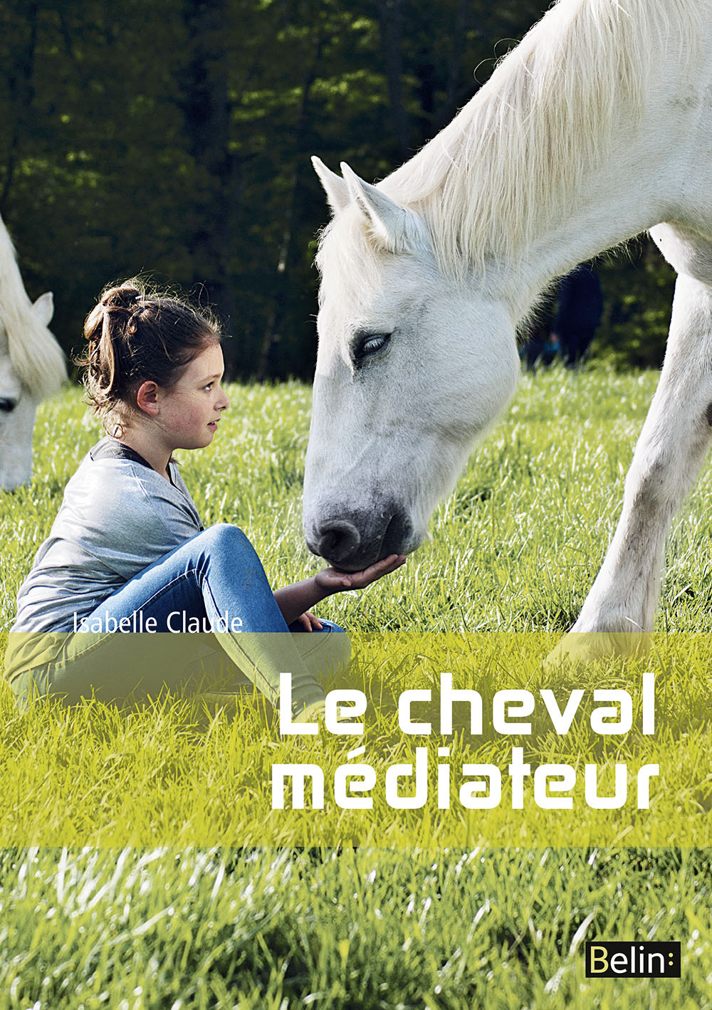 Le cheval médiateur