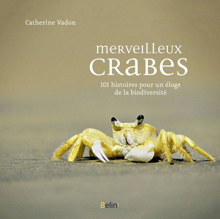 Merveilleux crabes
