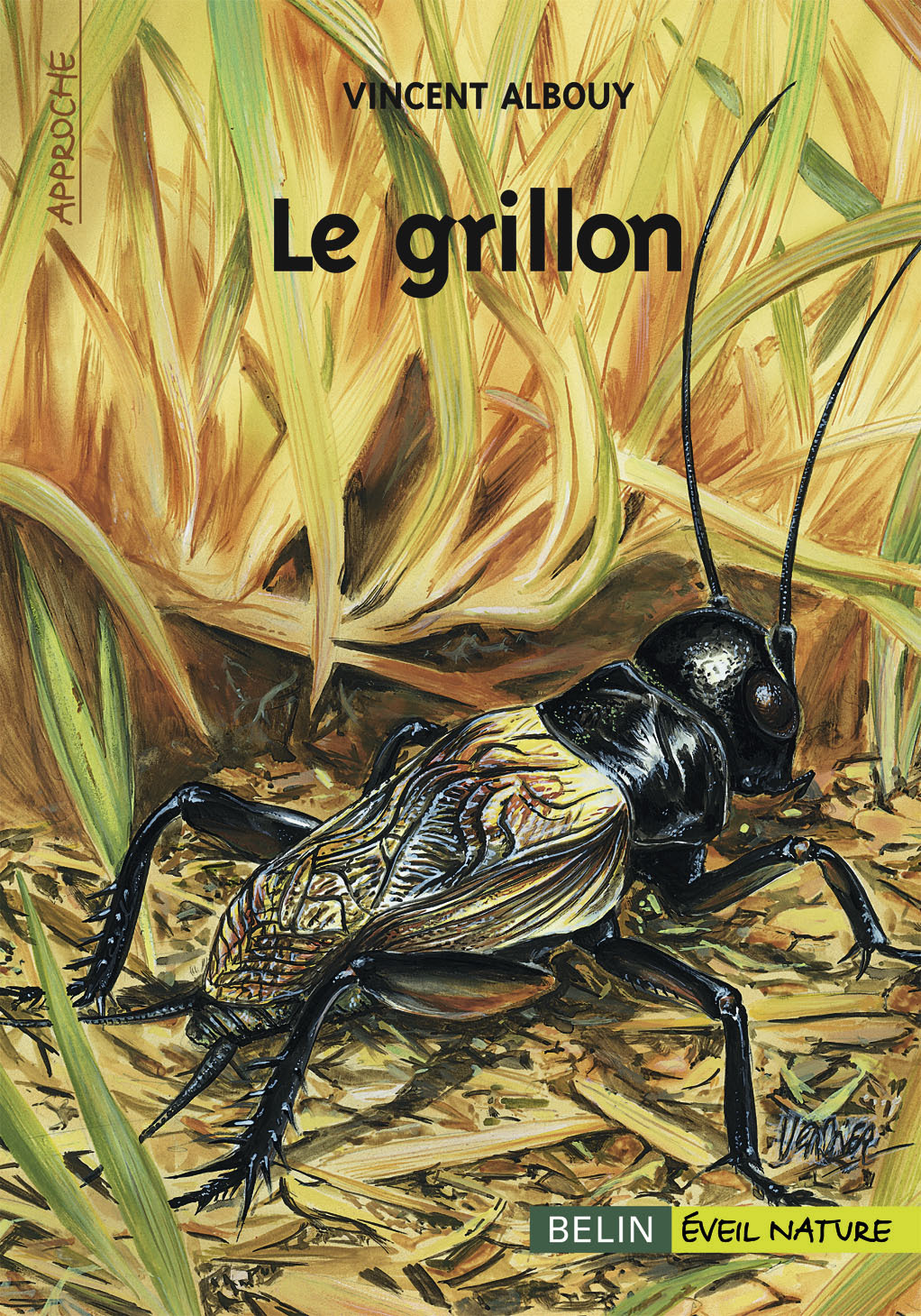 Le grillon