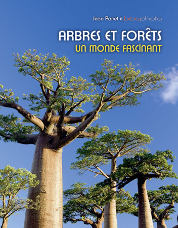 Arbres et forêts