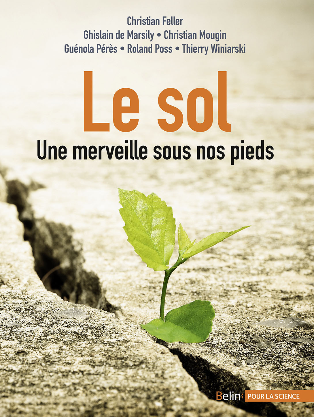Le sol - Une merveille sous nos pieds