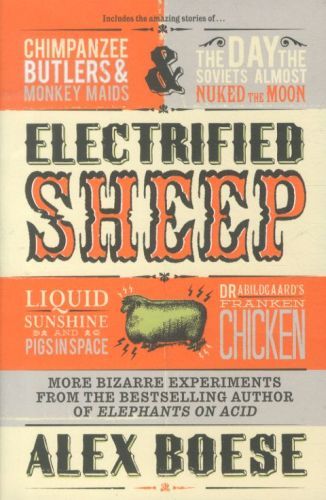 Electrified Sheep