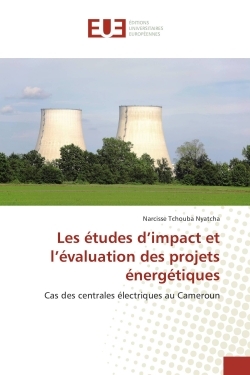 Les etudes d'impact et l'evaluation des projets energetiques