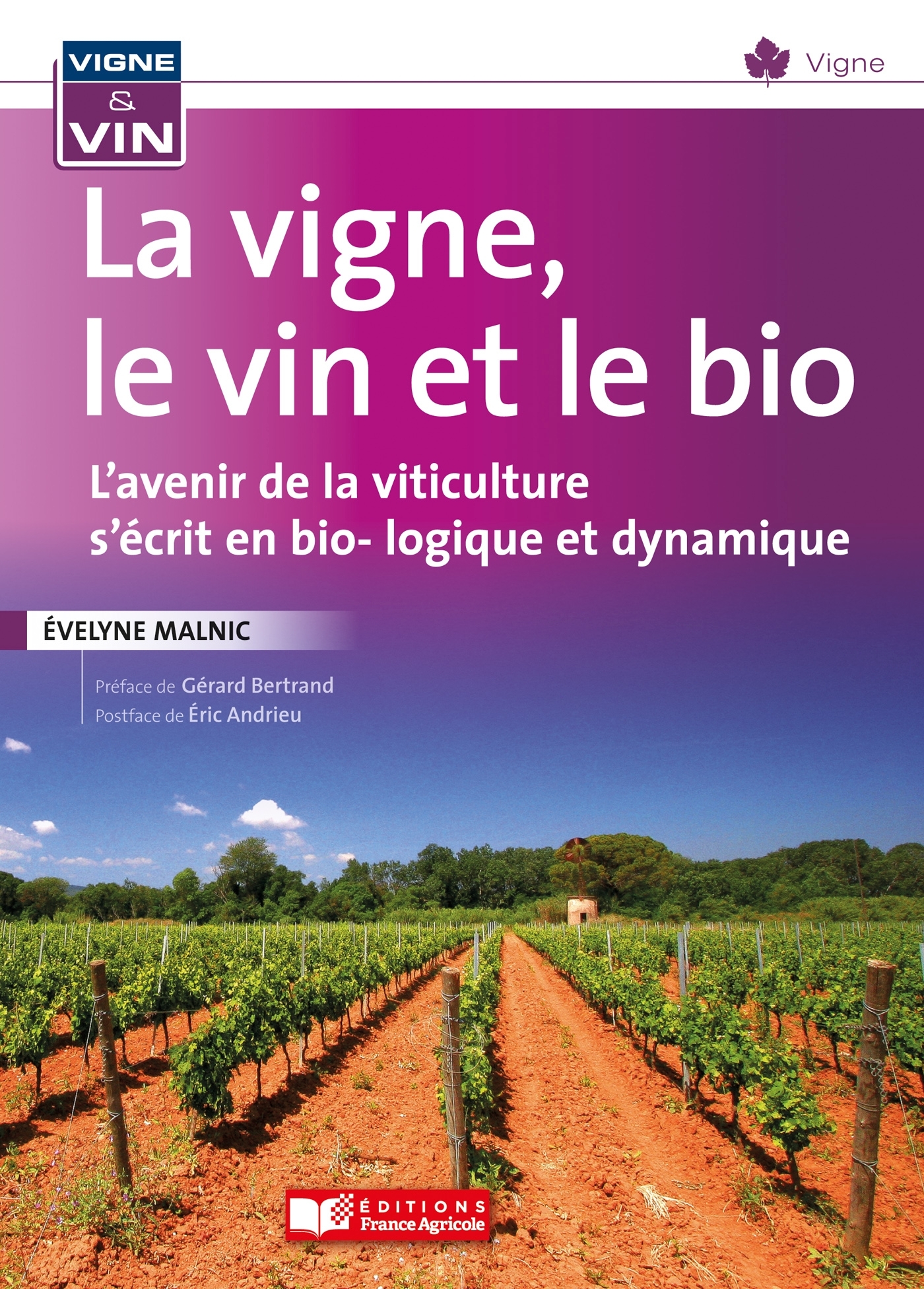 La vigne, le vin, et le bio