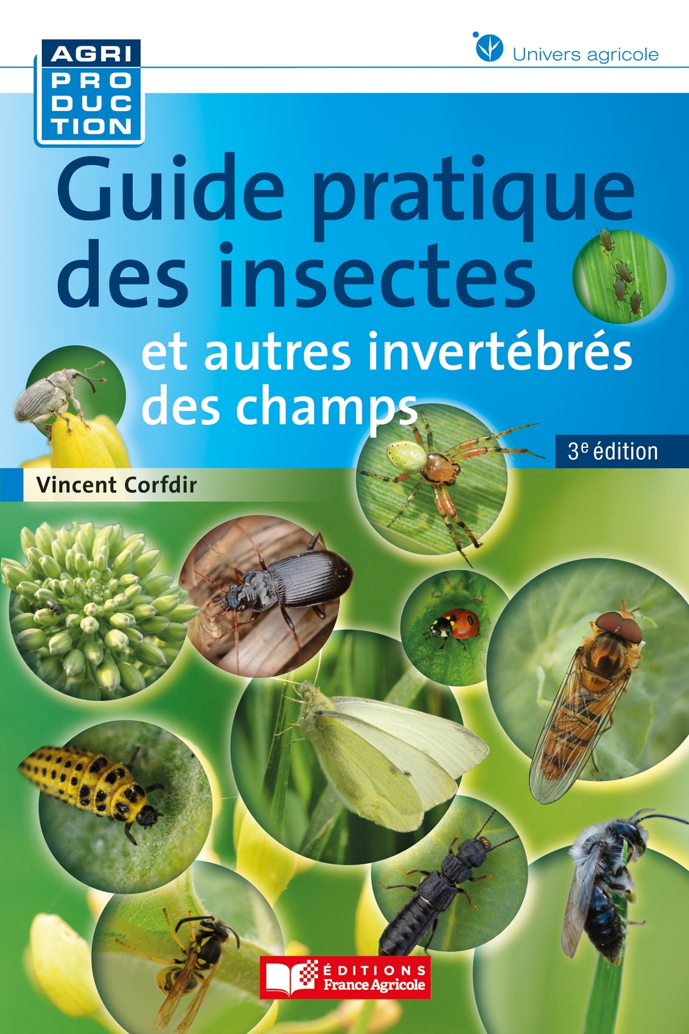 Guide pratique des insectes