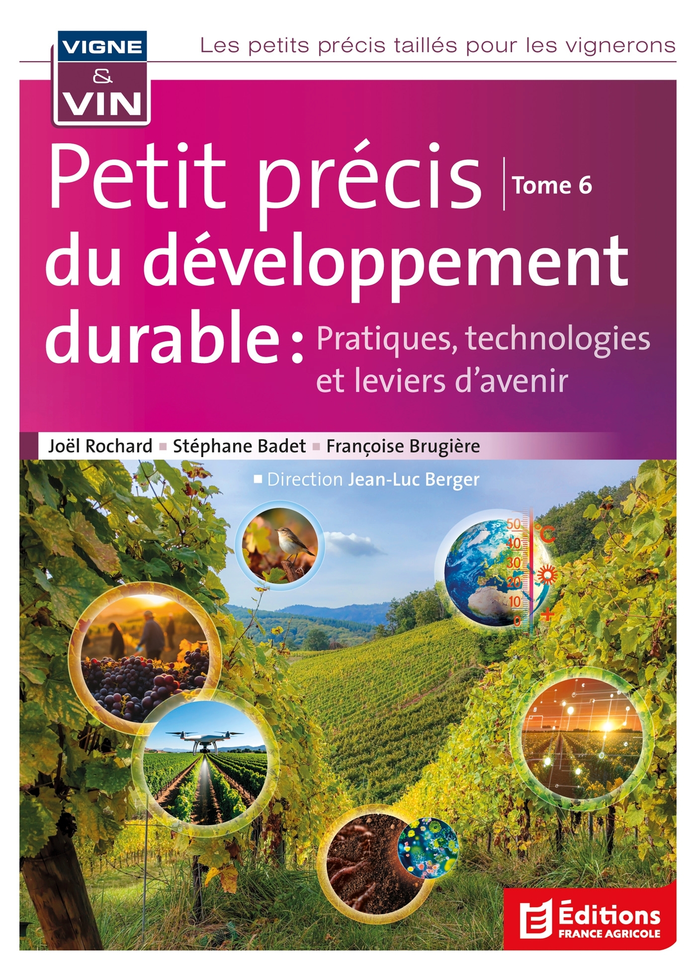 Petit précis du développement durable : Pratiques, technologies et leviers d'avenir