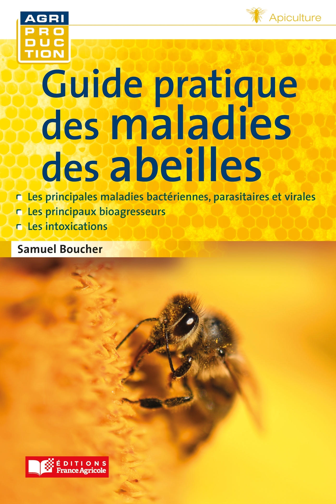 Guide pratiques des maladies des abeilles