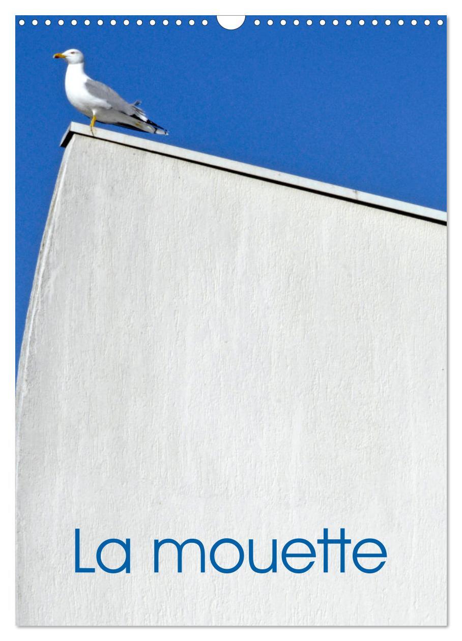 La mouette (Calendrier mural 2026 DIN A3 horizontal), CALVENDO calendrier mensuel