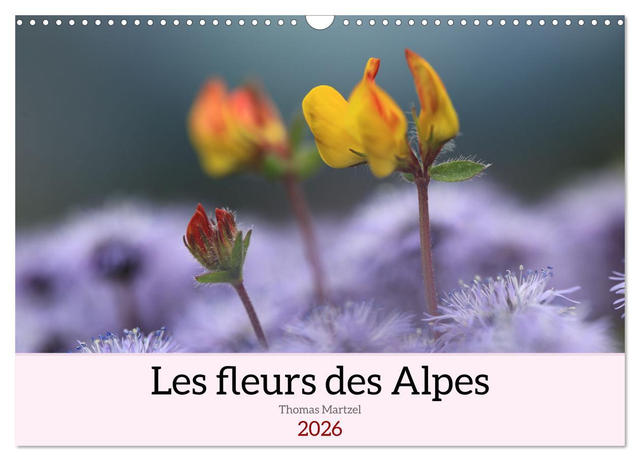 Les fleurs des Alpes (Calendrier mural 2026 DIN A3 vertical), CALVENDO calendrier mensuel