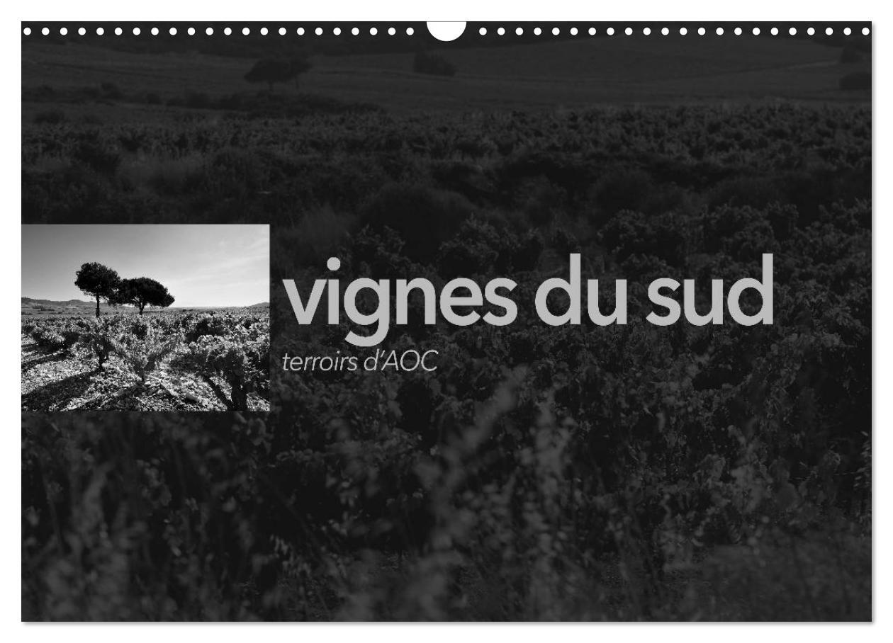 VIGNES DU SUD terroirs d'AOC (Calendrier mural 2026 DIN A3 vertical), CALVENDO calendrier mensuel