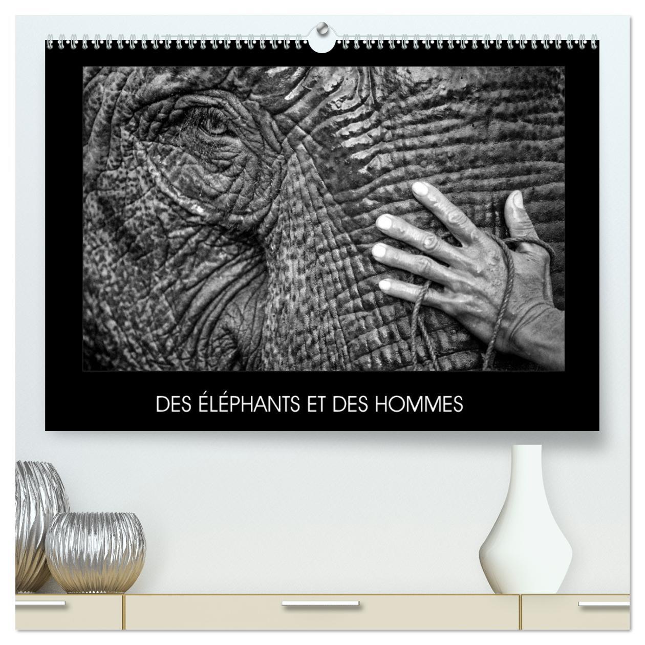 DES ÉLÉPHANTS ET DES HOMMES  (Calendrier mural 2026 DIN A2 vertical) calendrier de bureau