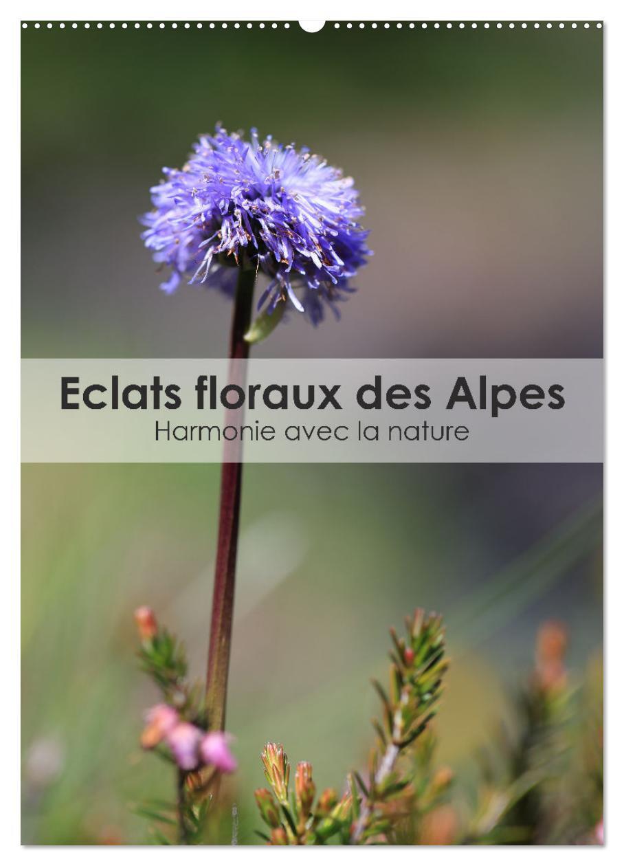 Éclats floraux des Alpes - Harmonie avec la nature (Calendrier mural 2026 DIN A2 horizontal), CALVENDO calendrier mensuel