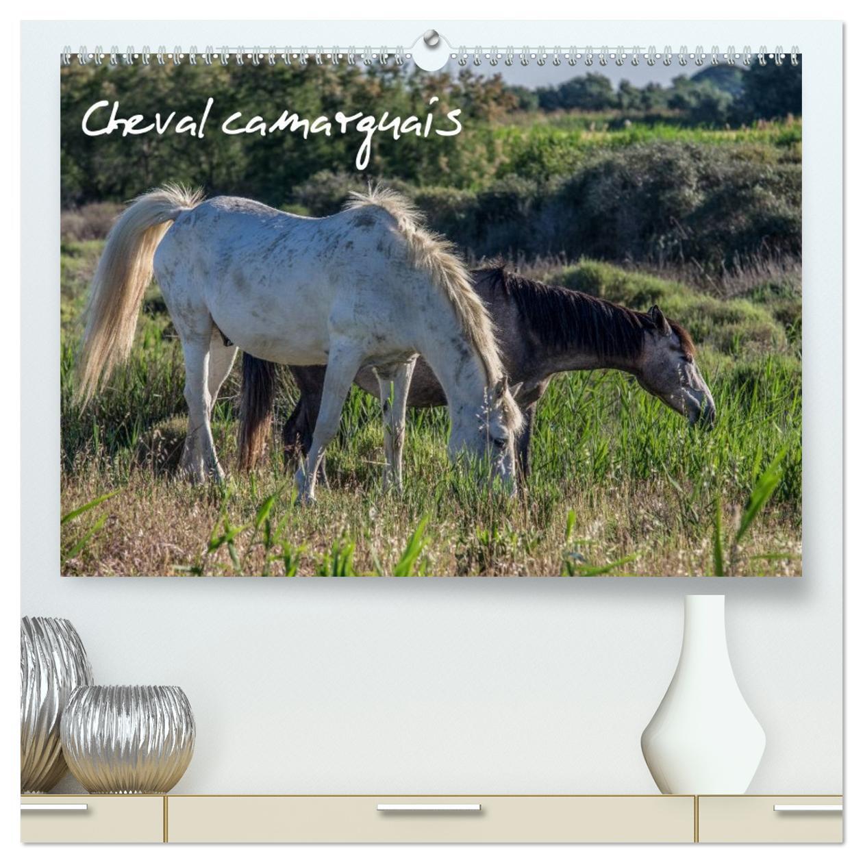 Cheval camarguais  (Calendrier mural 2026 DIN A2 vertical) calendrier de bureau