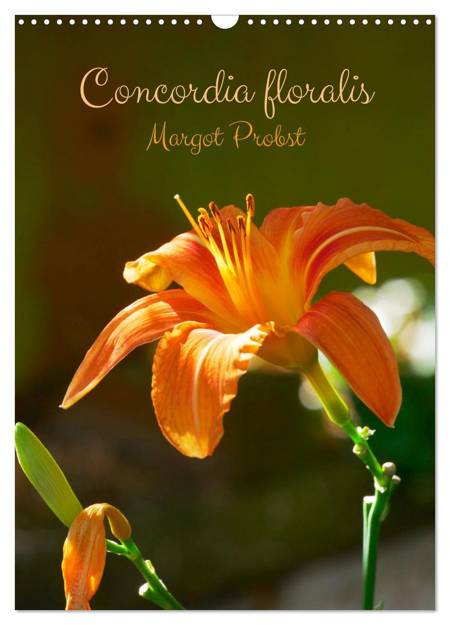 Concordia floralis (Calendrier mural 2026 DIN A3 horizontal), CALVENDO calendrier mensuel