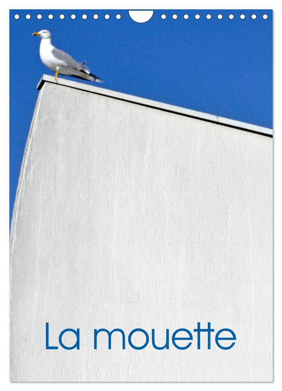 La mouette (Calendrier mural 2026 DIN A4 horizontal), CALVENDO calendrier mensuel