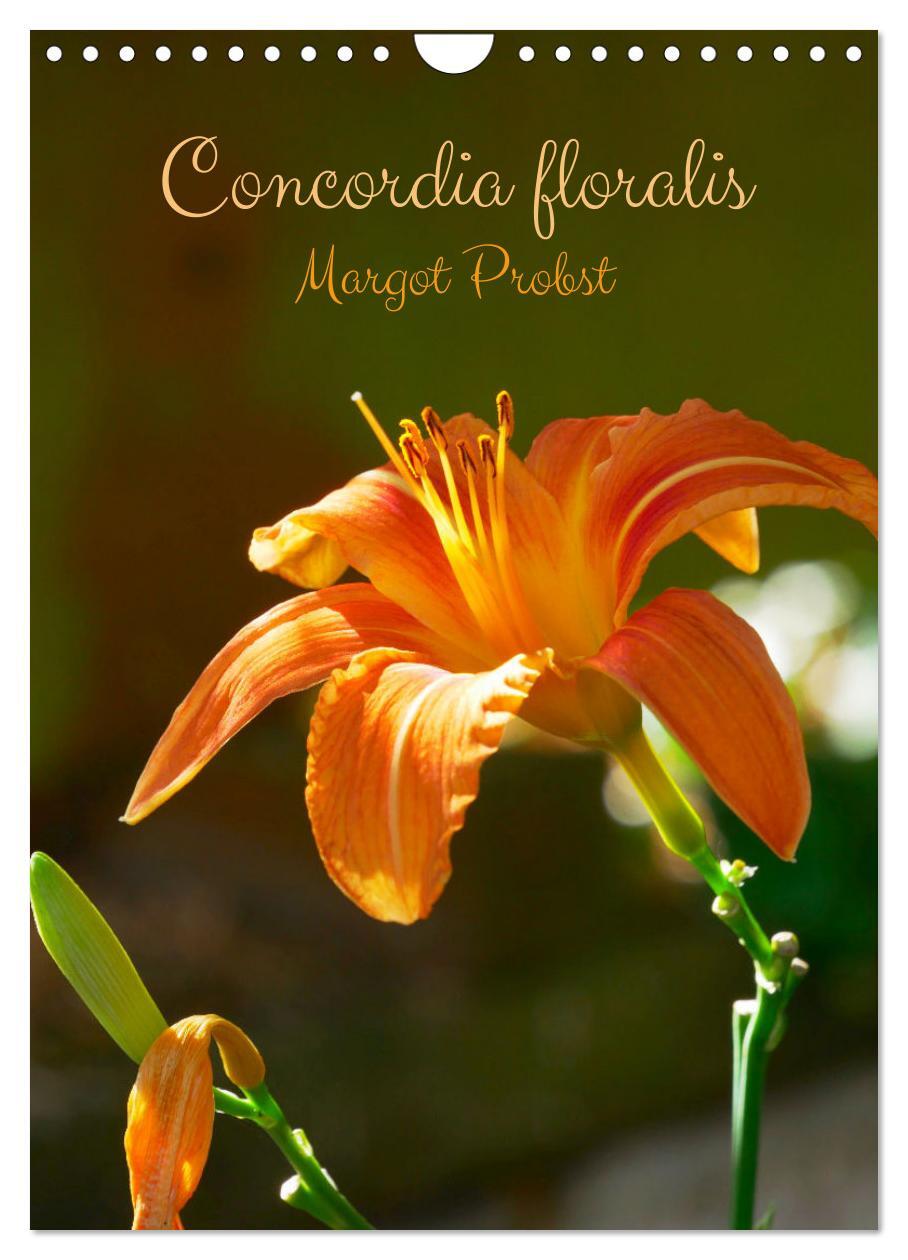 Concordia floralis (Calendrier mural 2026 DIN A4 horizontal), CALVENDO calendrier mensuel
