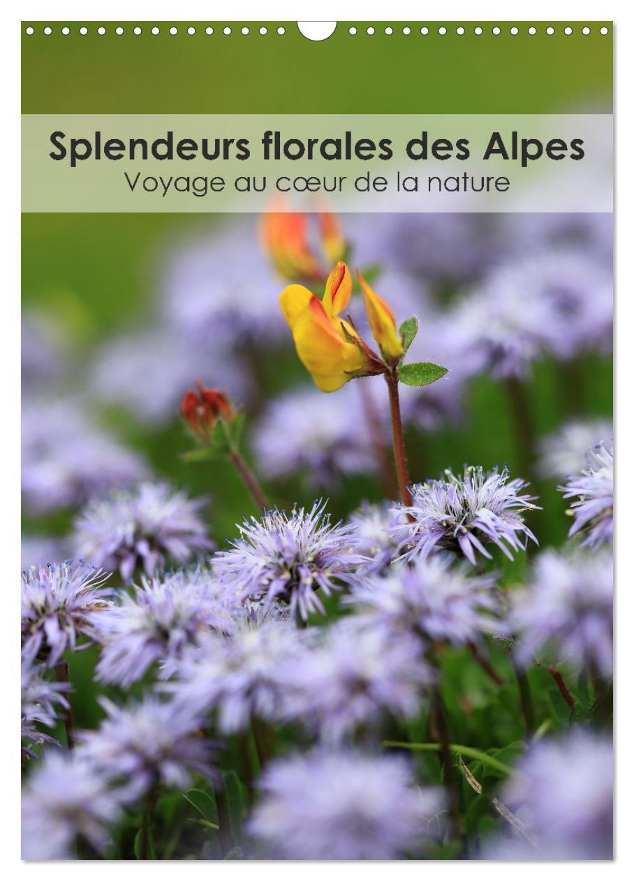Splendeurs florales des Alpes - Voyage au coeur de la nature (Calendrier mural 2026 DIN A3 horizontal), CALVENDO calendrier mensuel