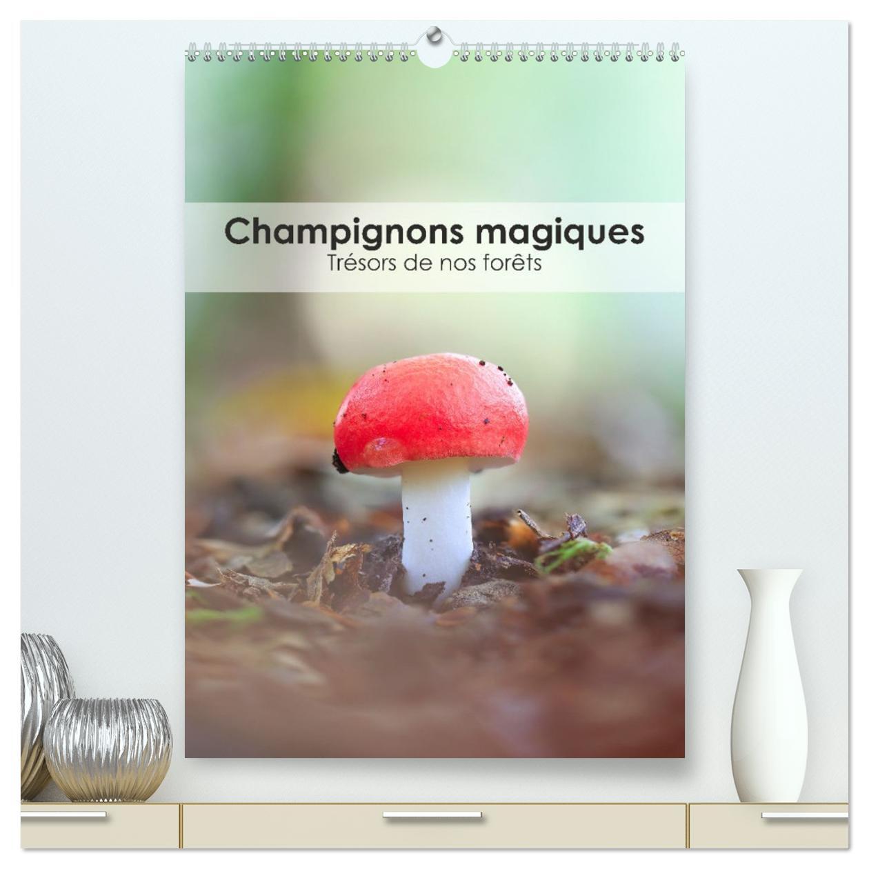 Champignons magiques - Trésors de nos forêts  (Calendrier mural 2026 DIN A2 horizontal) calendrier de bureau