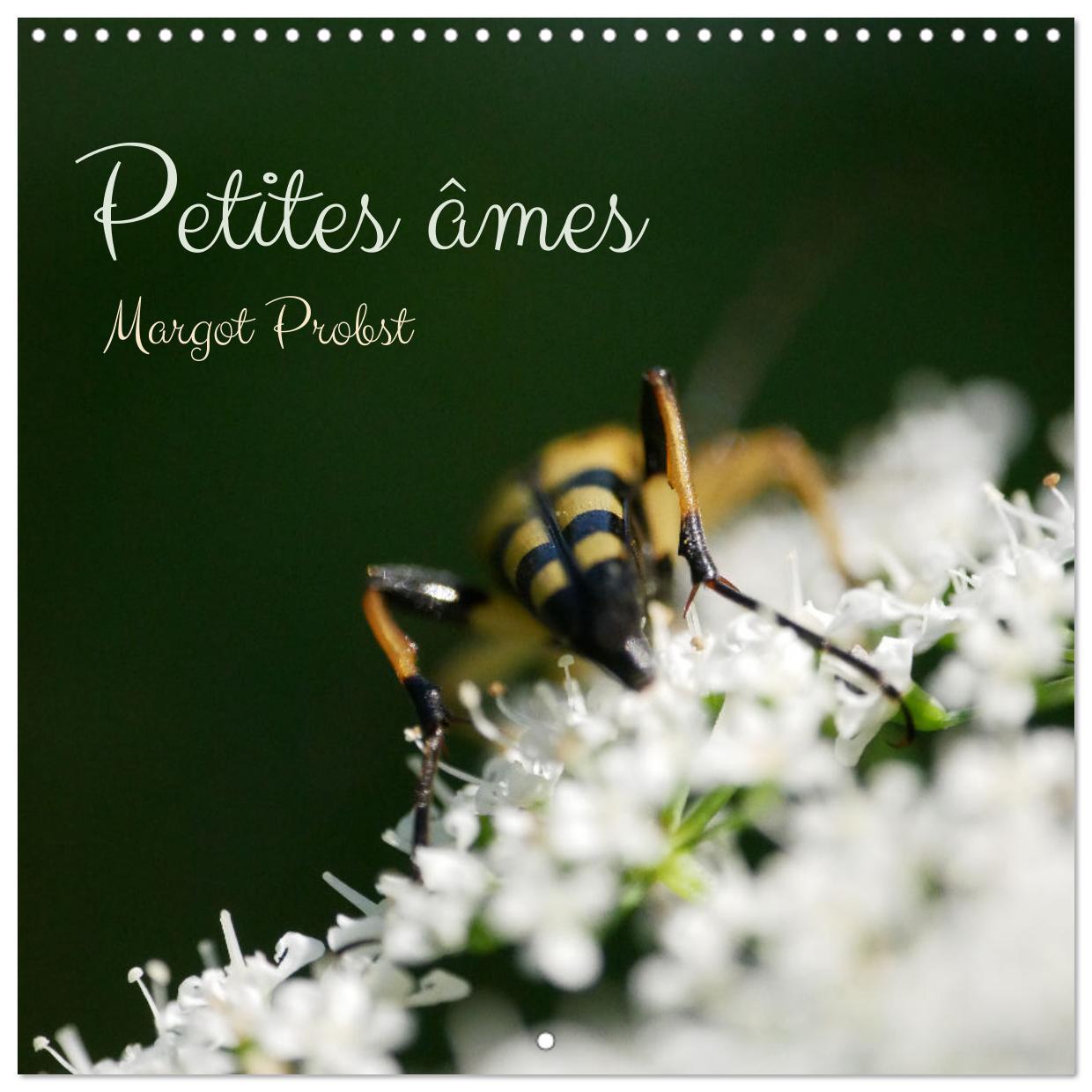 Petites âmes (Calendrier mural carré 2026 30x30 cm) Calendrier double avec une page pour vos prises de notes