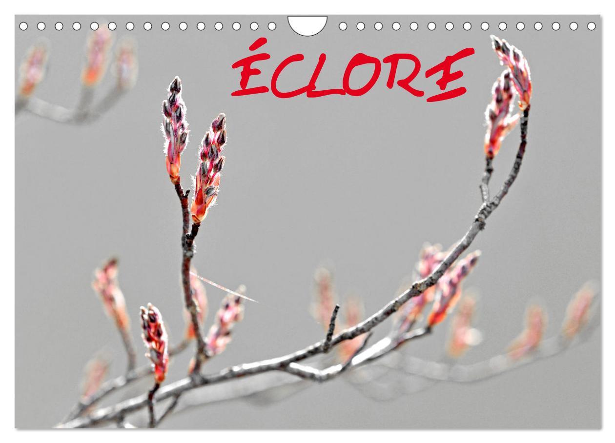 ÉCLORE (Calendrier mural 2026 DIN A4 vertical), CALVENDO calendrier mensuel