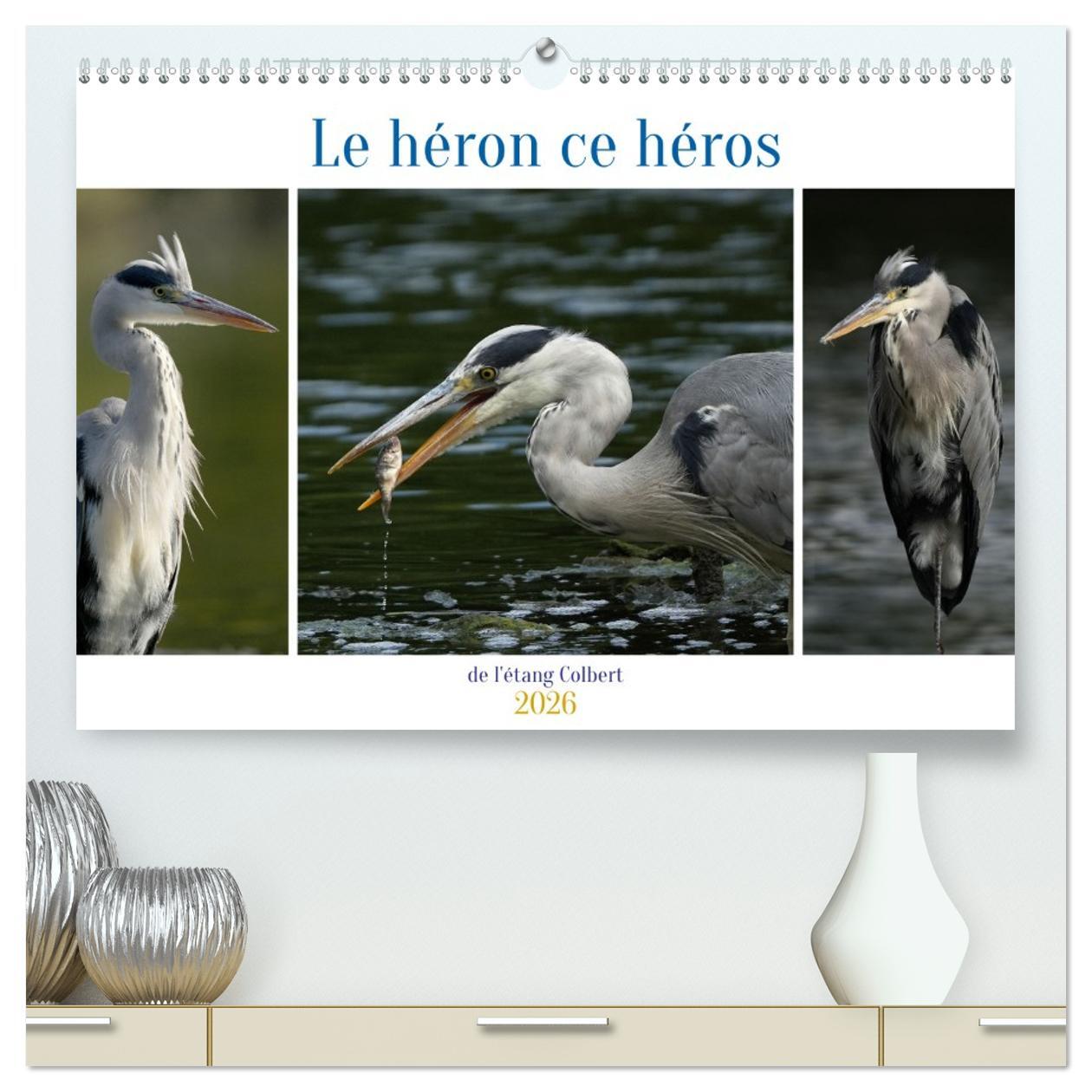 Le héron ce héros de l'étang Colbert  (Calendrier mural 2026 DIN A2 vertical) calendrier de bureau